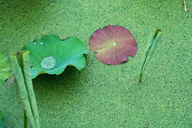 动作冒险游戏《女巫悲歌》最新演示 12月15日登陆多平台